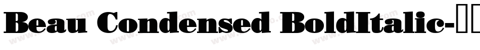 Beau Condensed BoldItalic字体转换